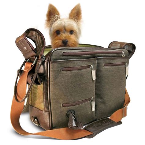 designer small dog carrier purse.